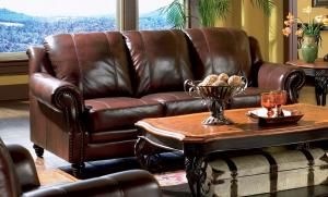 Princeton Collection 500661 Sofa